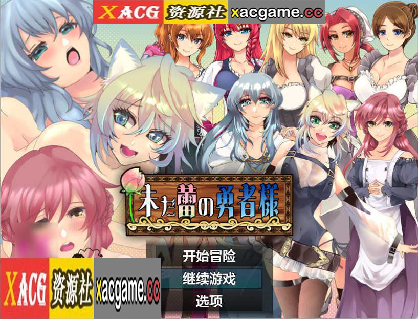 [电脑PC+安卓/日系RPGAIGPT汉化]未だ蕾の勇者様 未开花的勇者大人1.0[2.38G]